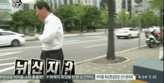 여의도 보호색.gif | 인스티즈