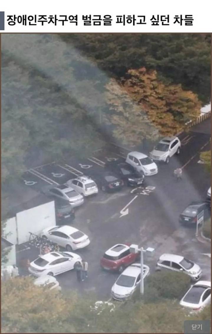 K-주차 레전드 모음.JPG | 인스티즈