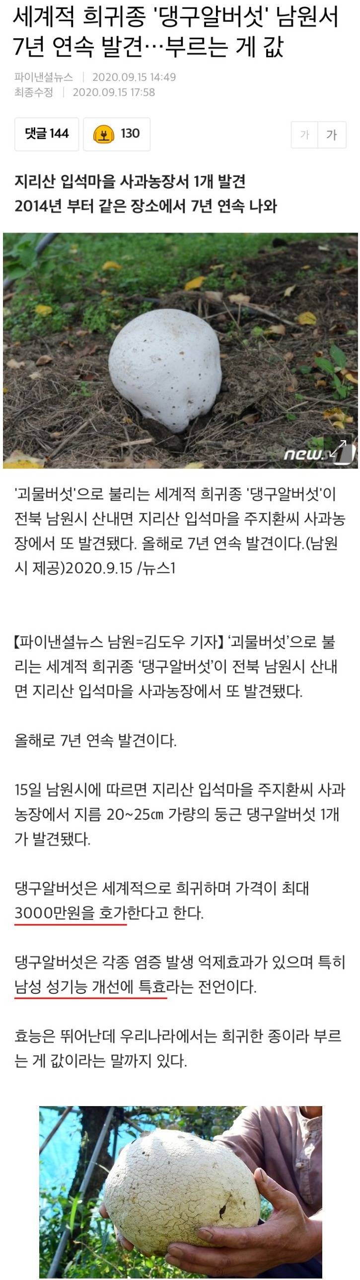 부르는게 값이라는 버섯 | 인스티즈