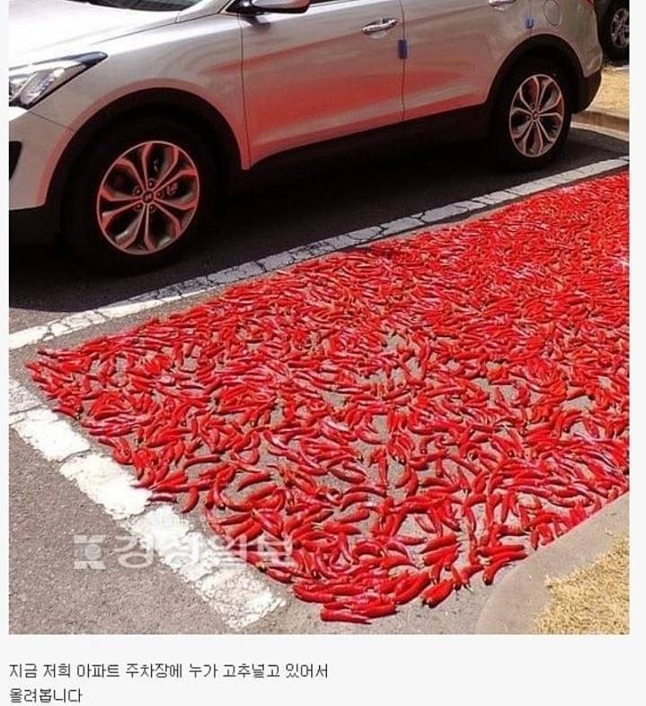 K-주차 레전드 모음.JPG | 인스티즈