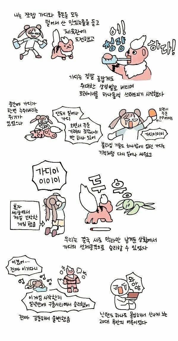 포켓몬스터 게임을 플레이하는 극단적인 사상 두 가지 | 인스티즈