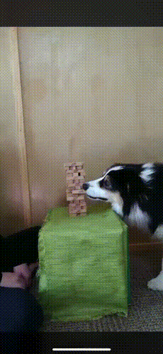 텐가 하는 브로콜리 | 인스티즈