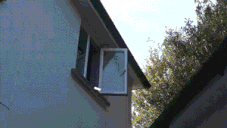 고양이 전용 다리 | 인스티즈