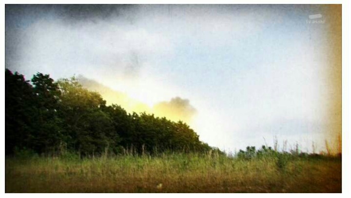 일본의 (빡침주의) | 인스티즈