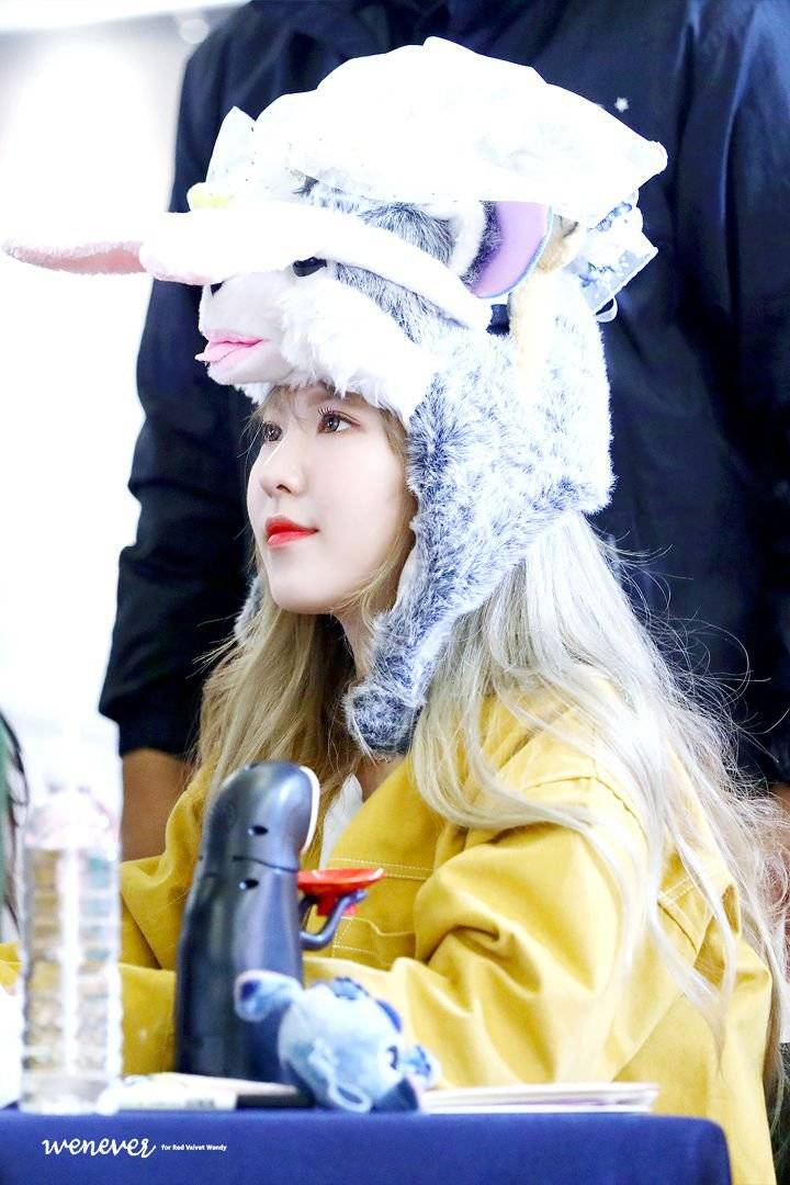 레드벨벳 웬디 머리 위에 팬들 사랑이 쌓여가는 과정 | 인스티즈