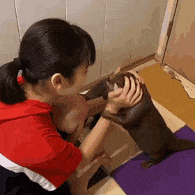 쓰다듬는 걸 좋아하는 수달이들 | 인스티즈