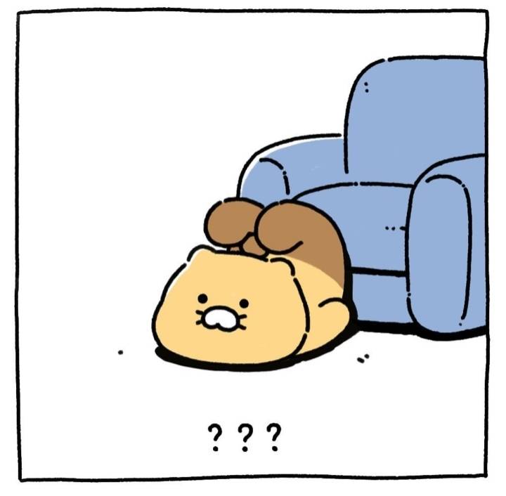 귀여운 춘식이 | 인스티즈