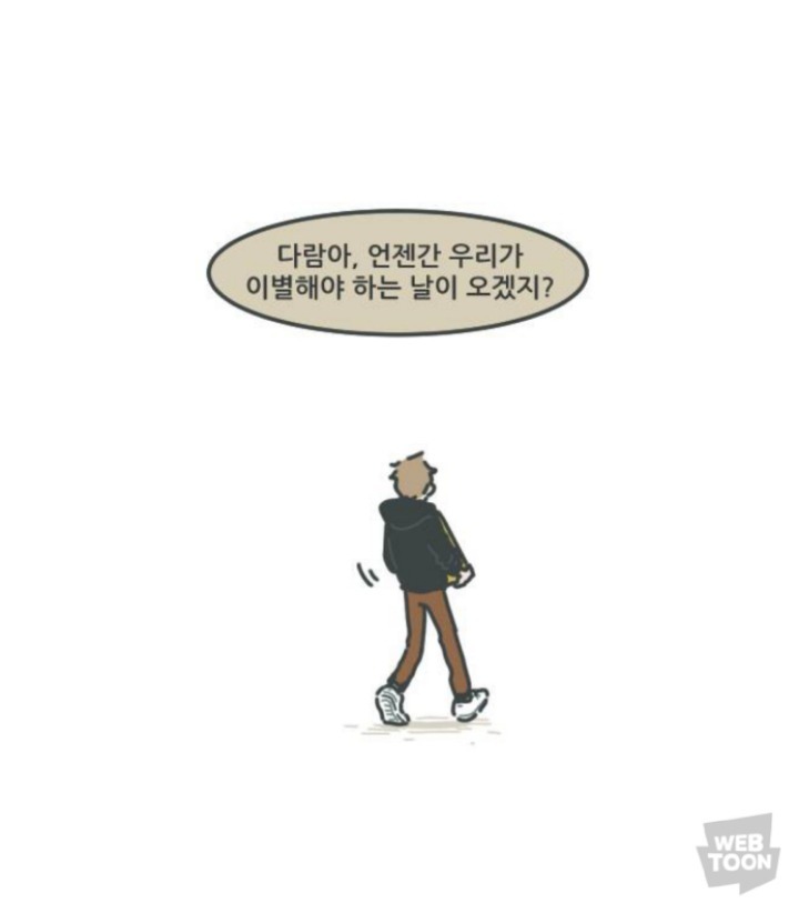 병원에서 죽음을 맞이한 고양이와 마지막을 지키지 못한 주인 | 인스티즈