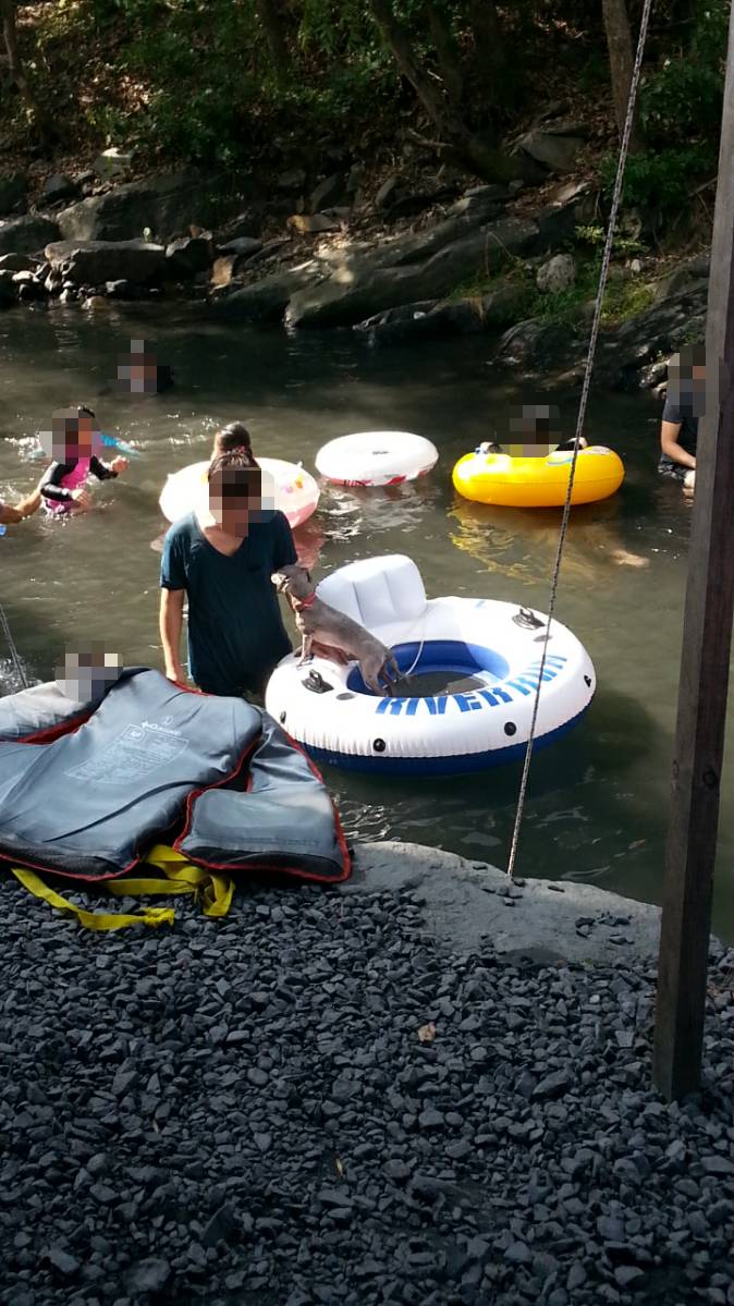 계곡 민폐다 vs 아니다.jpg | 인스티즈