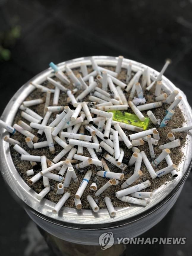 담배 100개비 한번에 피우다 입건된 20대 "유튜브 촬영" | 인스티즈