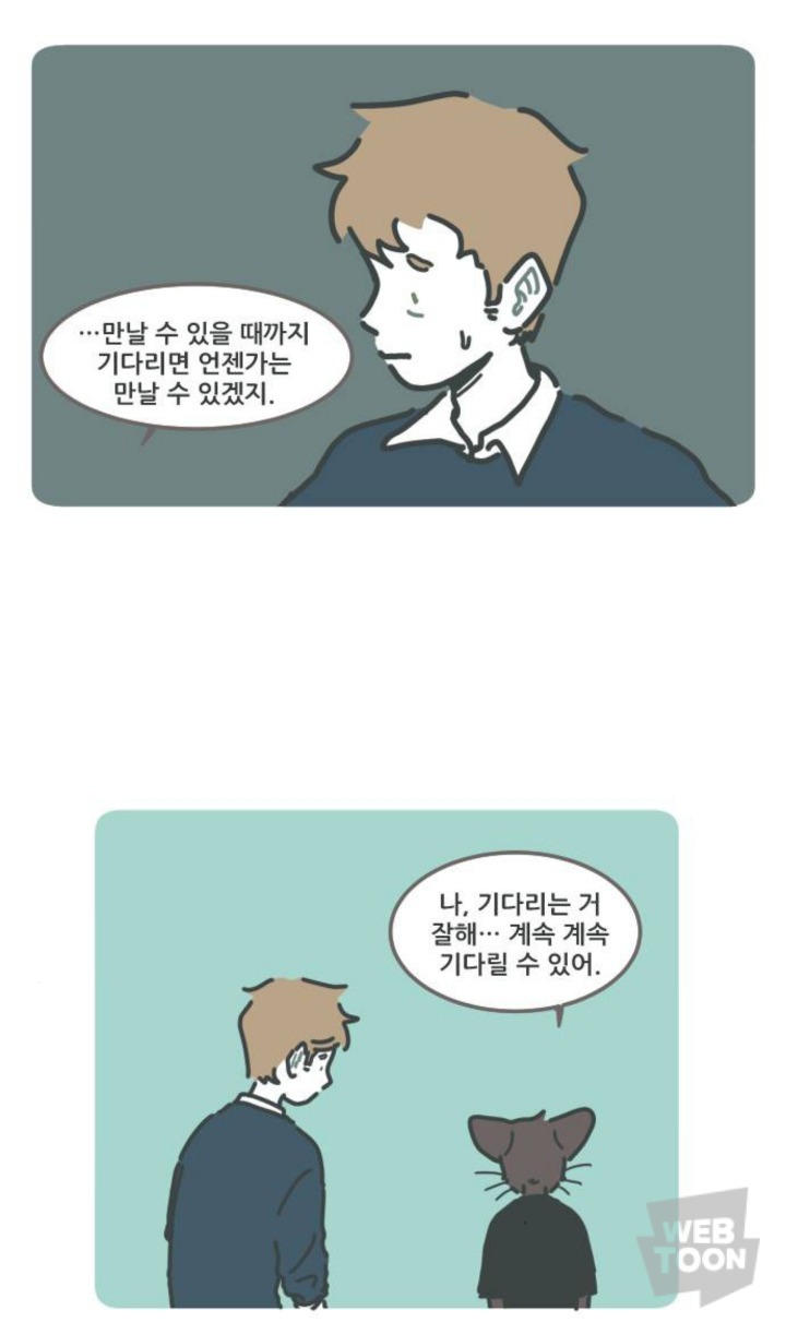 병원에서 죽음을 맞이한 고양이와 마지막을 지키지 못한 주인 | 인스티즈