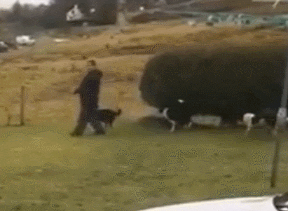 성장환경의 중요성 | 인스티즈