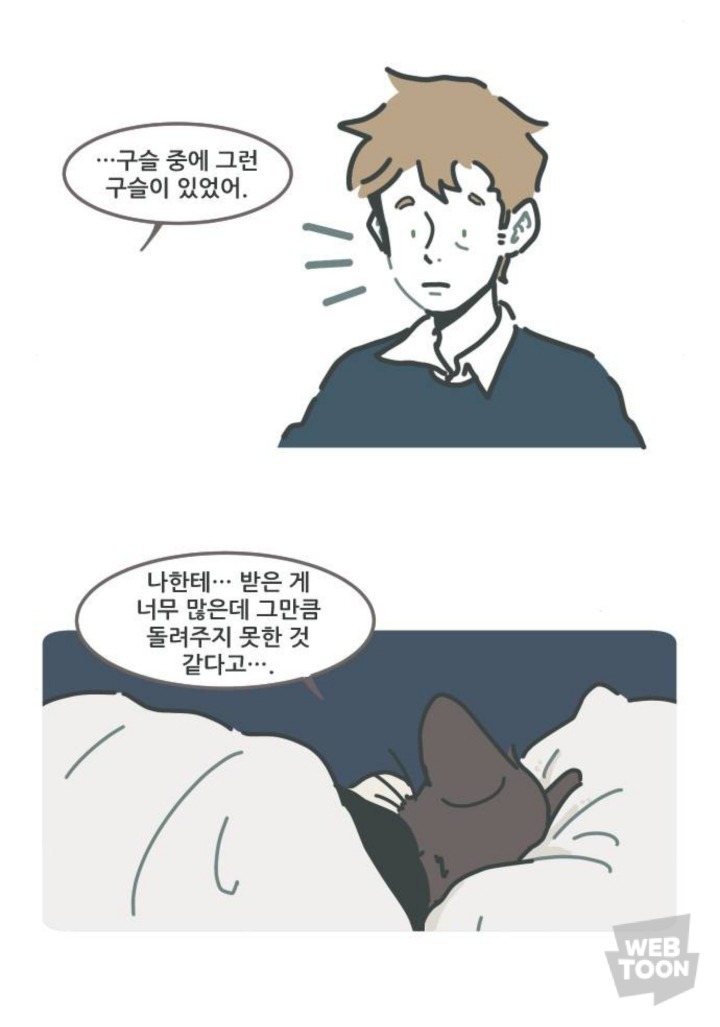 병원에서 죽음을 맞이한 고양이와 마지막을 지키지 못한 주인 | 인스티즈