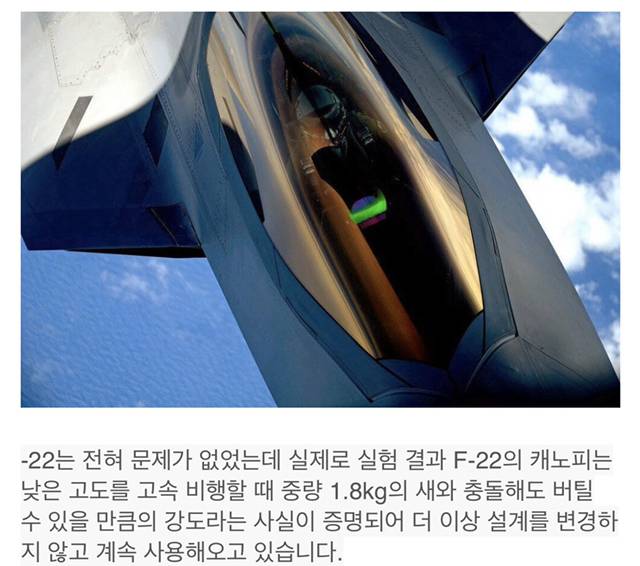F-22 캐노피가 특별한 이유 | 인스티즈
