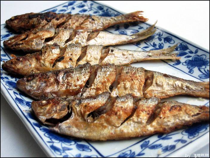 전어구이 vs 전어 회 | 인스티즈