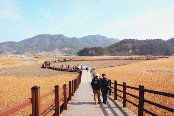 한국에서 2000년대 관광업이 급격히 발전한 도시 | 인스티즈