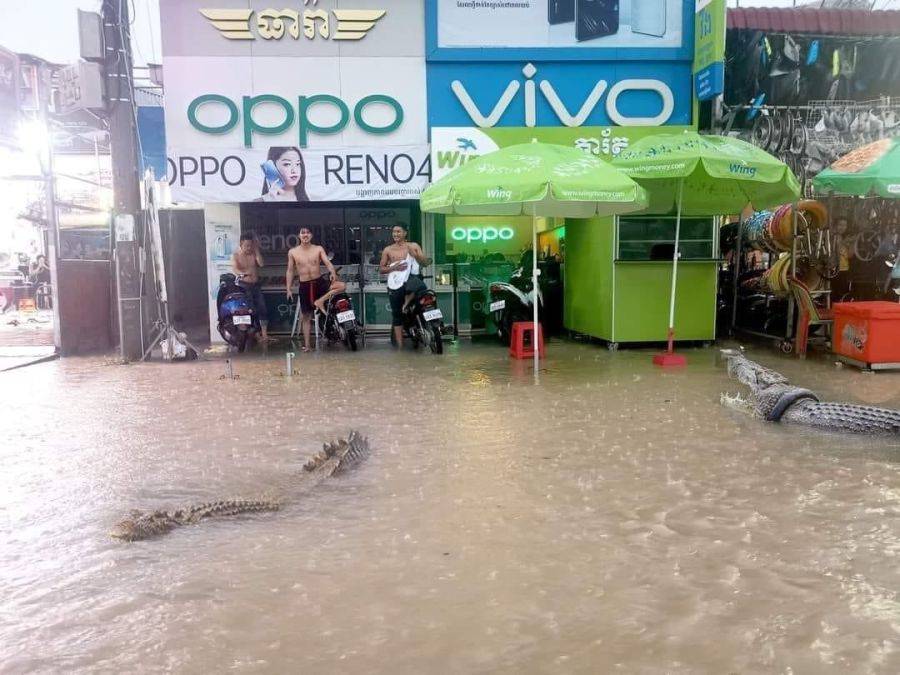 역대급 홍수에도 평정심을 잃지않는 캄보디아 사람들..jpg | 인스티즈