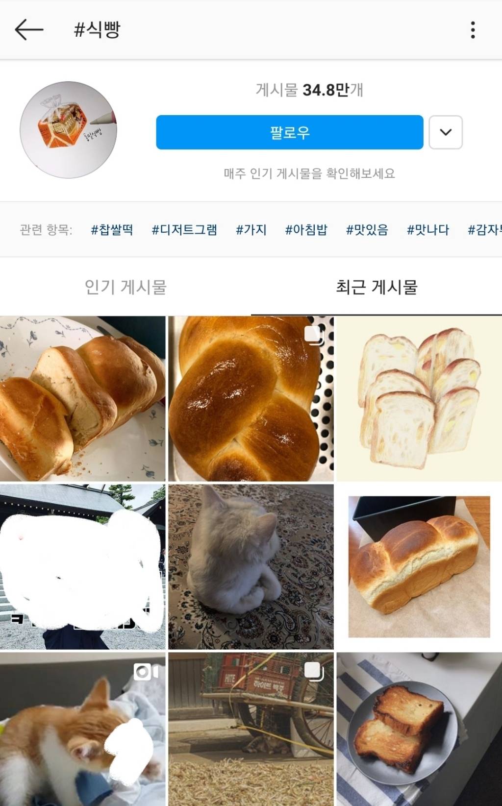 강아지 고양이 키울 때 은근히 많이 짓는 이름..........jpg | 인스티즈