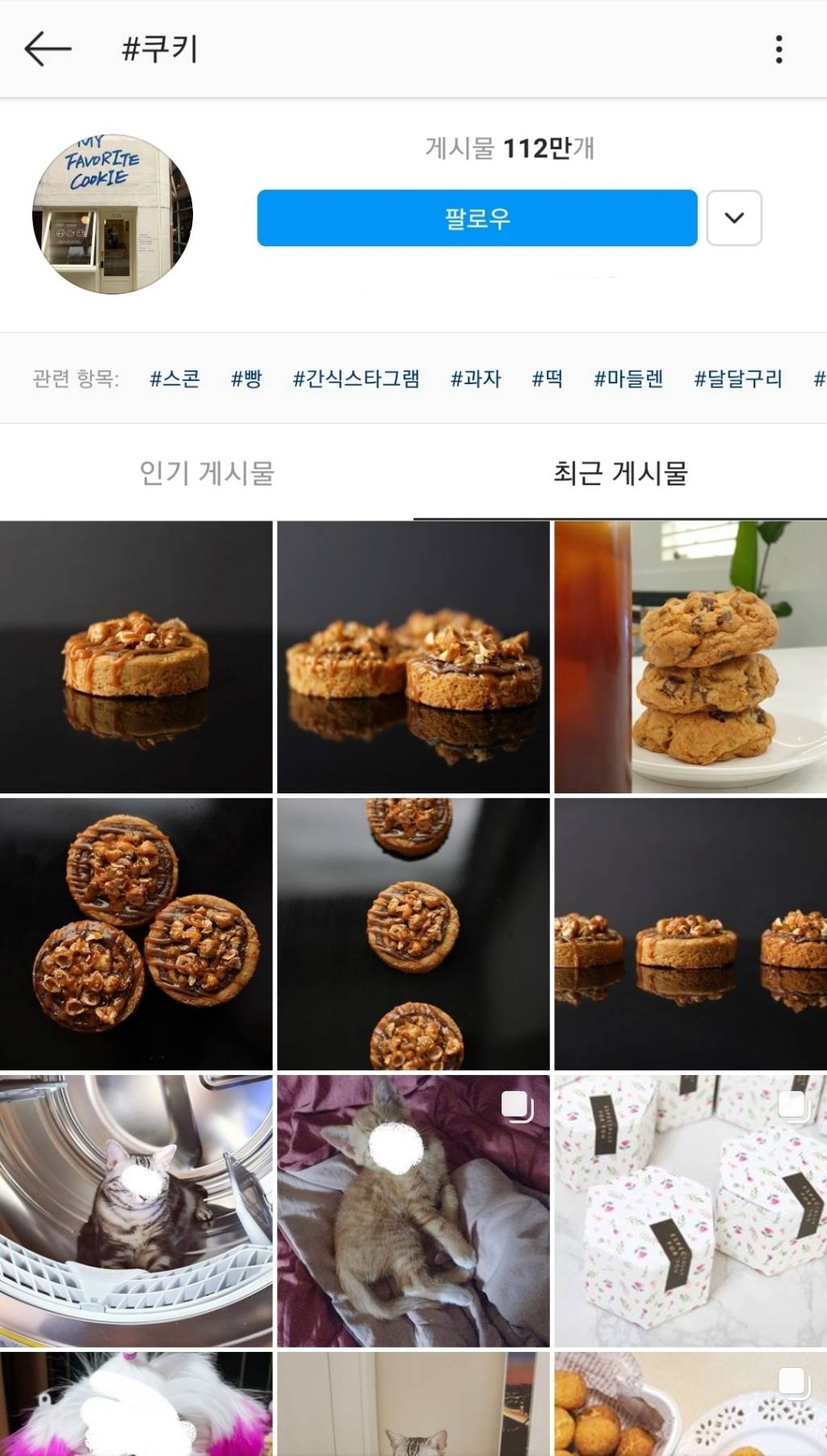 강아지 고양이 키울 때 은근히 많이 짓는 이름..........jpg | 인스티즈