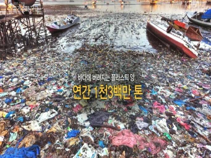 플라스틱 쓰레기로 신음하는 동물들 | 인스티즈