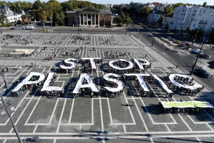 플라스틱 쓰레기로 신음하는 동물들 | 인스티즈