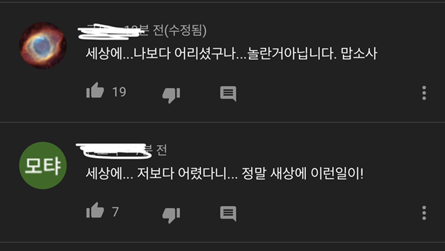 오늘자 새전문 새덕후 유튜버님 나이 공개 ㄷㄷ | 인스티즈