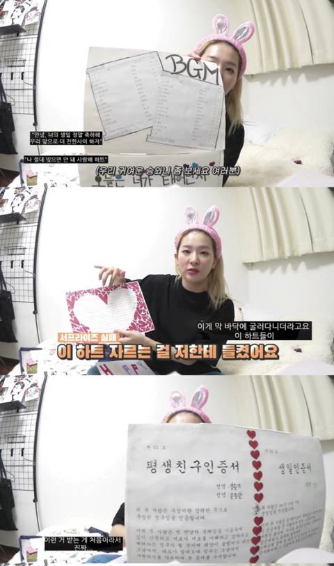 레드벨벳 슬기가 밝힌 보물 1호 생일선물 | 인스티즈