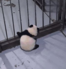 뜻밖의 시리즈 .gif | 인스티즈