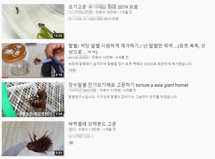 곤충 괴롭히는 유튜브 영상, 동물학대 아닌가요? | 인스티즈