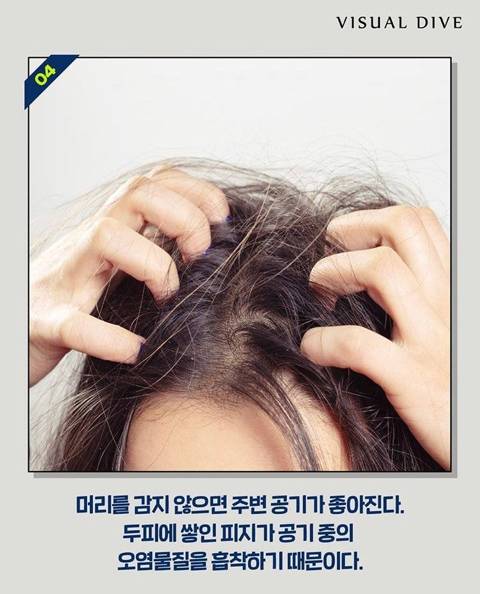 머리 안 감으면 좋은점 | 인스티즈