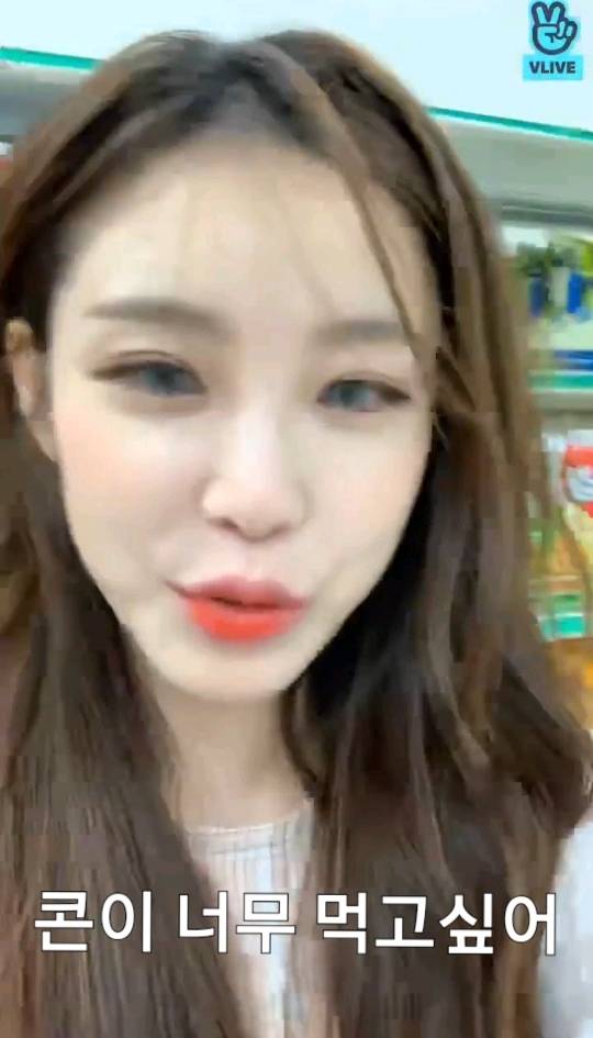 비비빅이 손절당한 이유.........jpg | 인스티즈