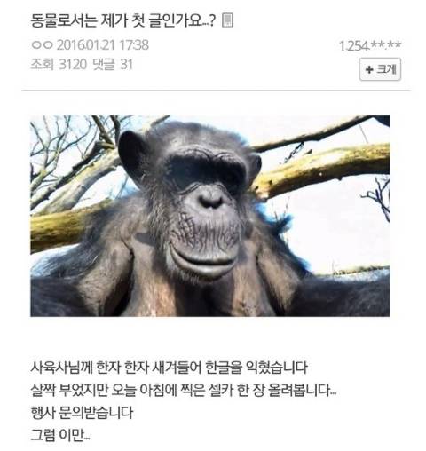 만우절 특집 허언증갤 레전드 모음집 | 인스티즈
