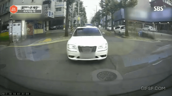 자동차 운전자들을 위협하는 전자 고라니.... | 인스티즈