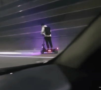 자동차 운전자들을 위협하는 전자 고라니.... | 인스티즈