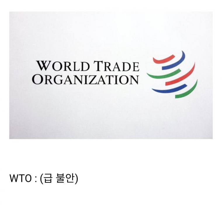 미국vs중국 싸움으로 번진 WTO 선거 | 인스티즈