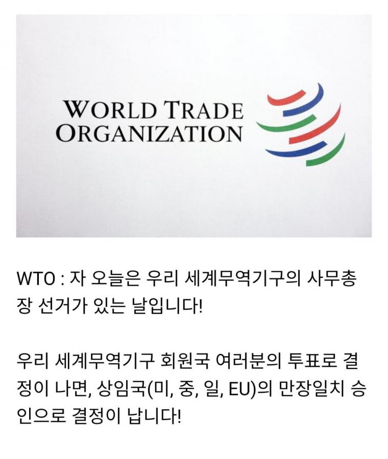 미국vs중국 싸움으로 번진 WTO 선거 | 인스티즈