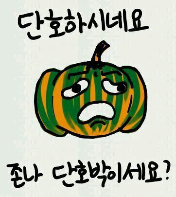 미국 대선 뭔데? 간접 선거? 그거 어떻게 하는건데? | 인스티즈