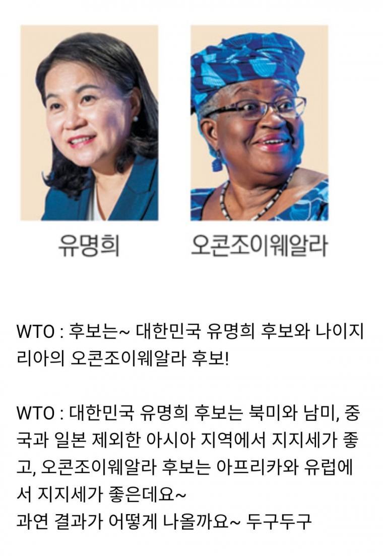 미국vs중국 싸움으로 번진 WTO 선거 | 인스티즈