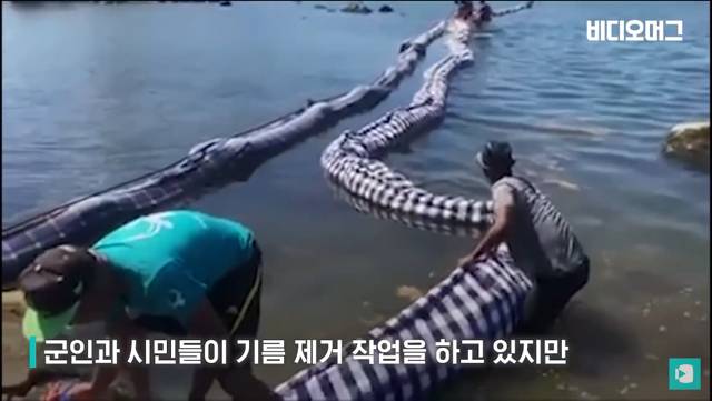 일본 선박 때문에 역대 최악의 환경재해를 겪고 있는 모리셔스.jpg | 인스티즈