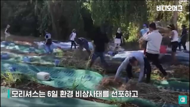 일본 선박 때문에 역대 최악의 환경재해를 겪고 있는 모리셔스.jpg | 인스티즈