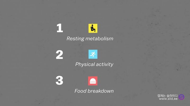 다이어트에 운동은 정말 도움이 되는걸까.jpg | 인스티즈