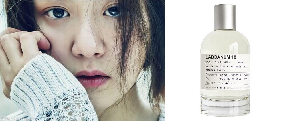 여자연예인들이 쓰는 향수 | 인스티즈