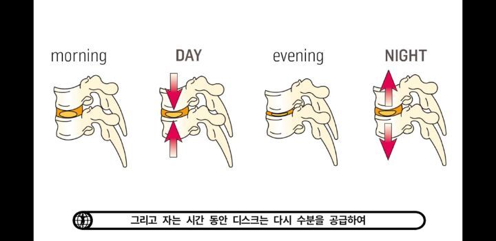 아침에 허리가 약해진듯한 느낌이 오는 이유 | 인스티즈