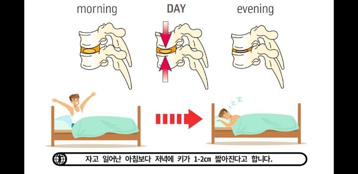 아침에 허리가 약해진듯한 느낌이 오는 이유 | 인스티즈