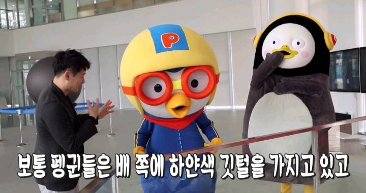 [충격] 뽀로로는 펭귄이 아니다? | 인스티즈