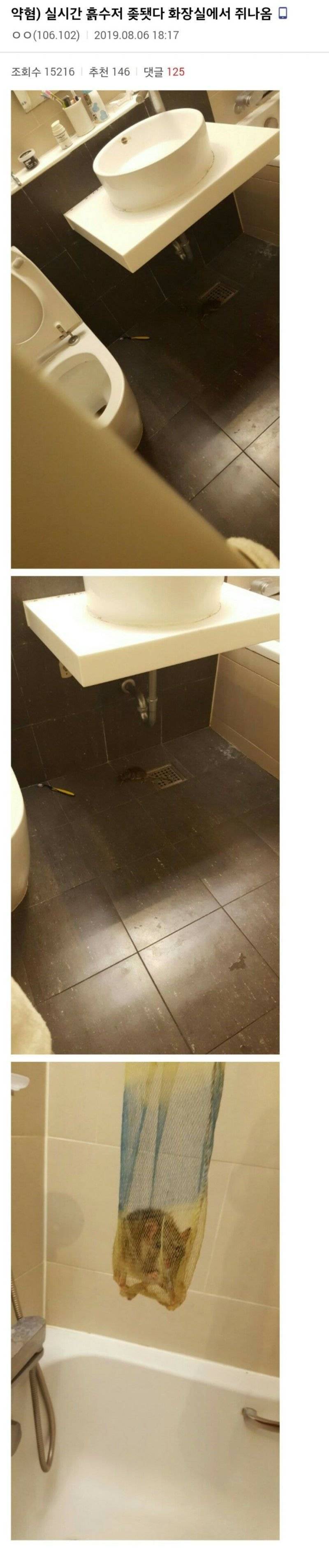 화장실에서 쥐잡은 헬창.jpg | 인스티즈
