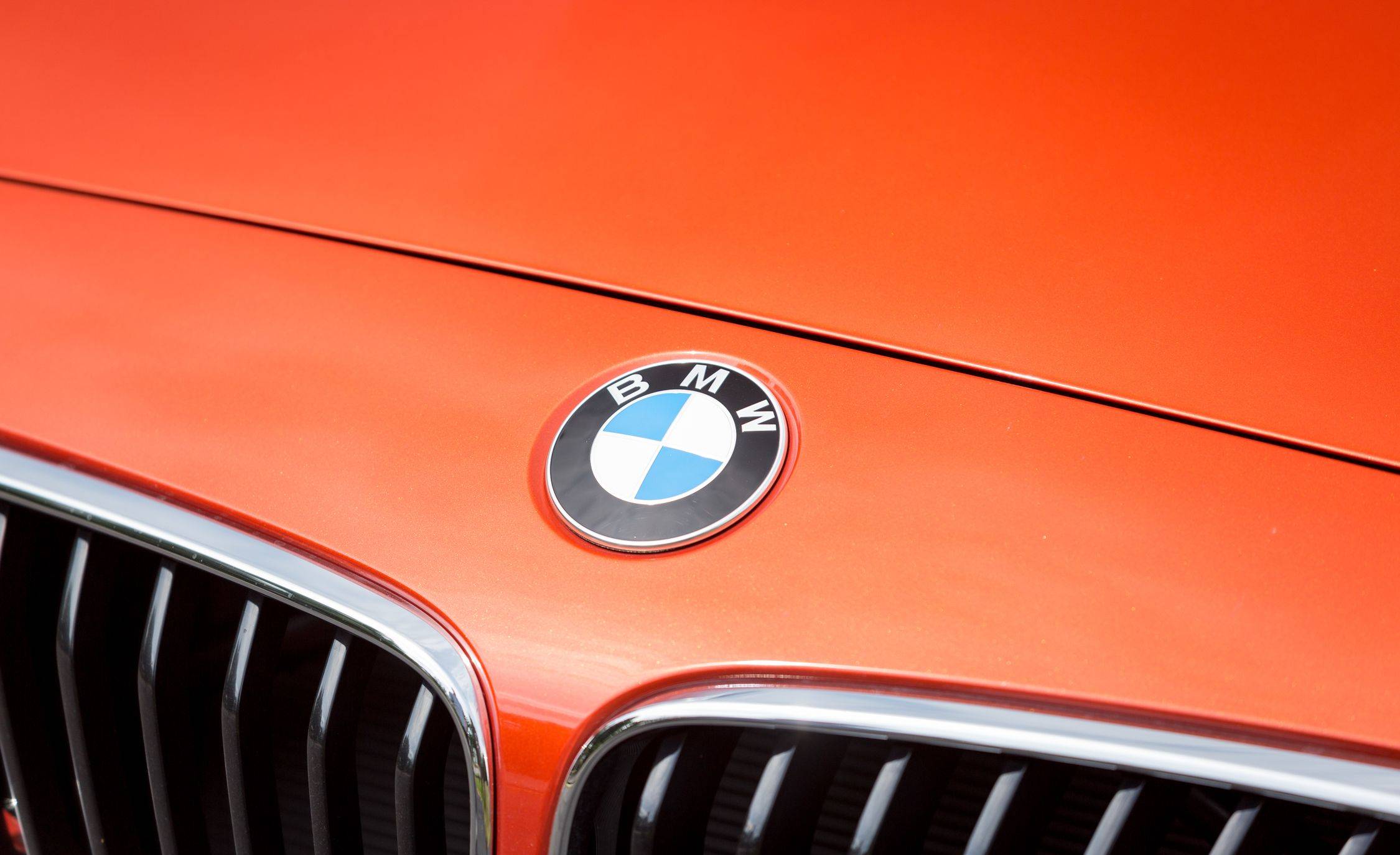 2017 BMW 230i xDrive 쿠페 [데이터주의] | 인스티즈