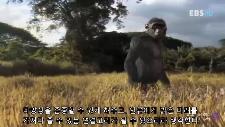 인류에게 게이가 꼭 필요할 수도 있는 이유.jpg | 인스티즈