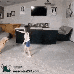 보고 있으면 힐링되는 개짤.gif | 인스티즈