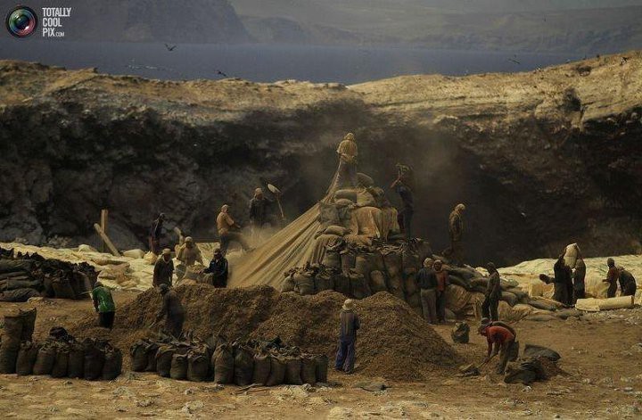 구아노를 둘러싼 페루 새똥전쟁 | 인스티즈